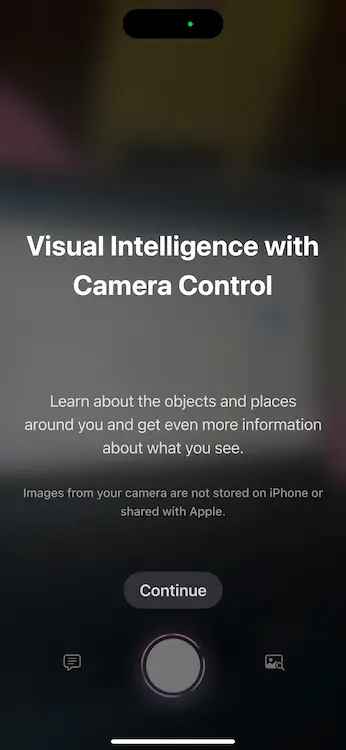 visual intelligence