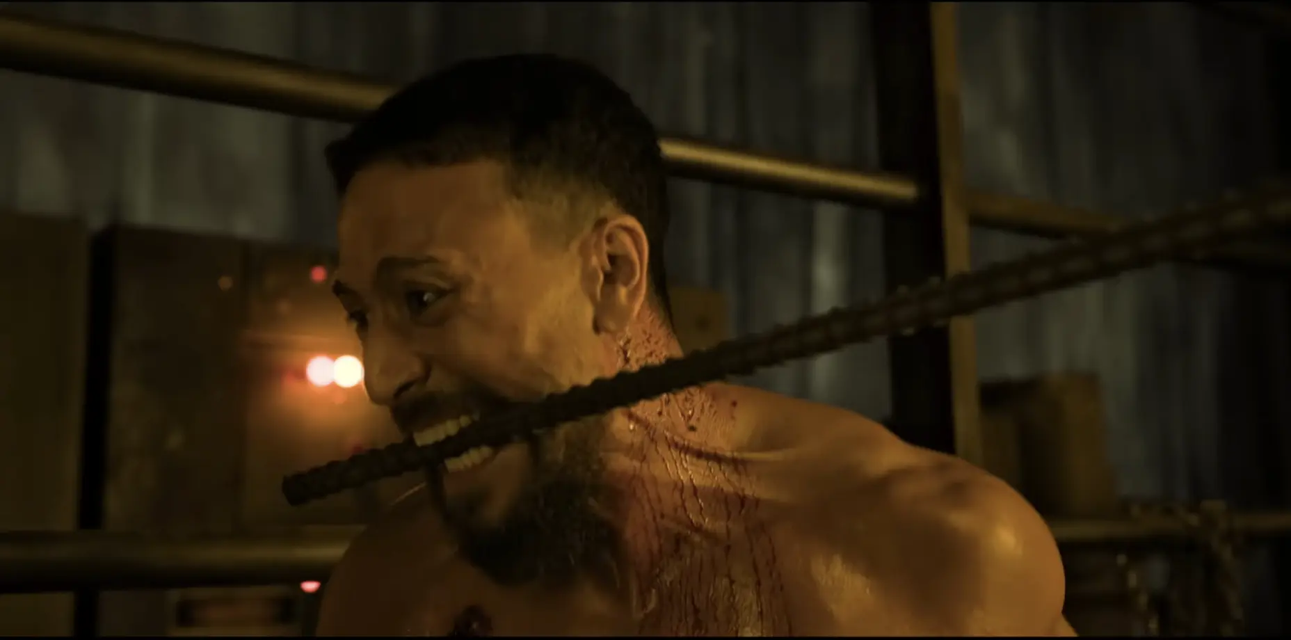 Baaghi 4 Review