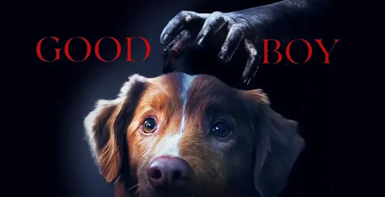 Good Boy Review