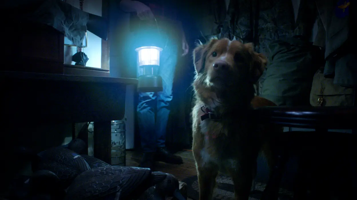 Good Boy Review
