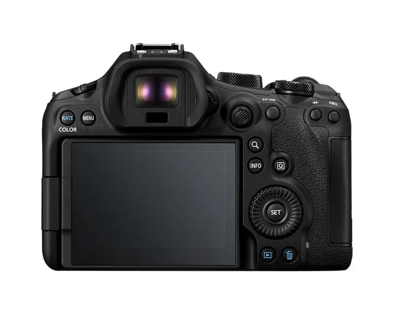 Canon EOS R6 Mark III Review