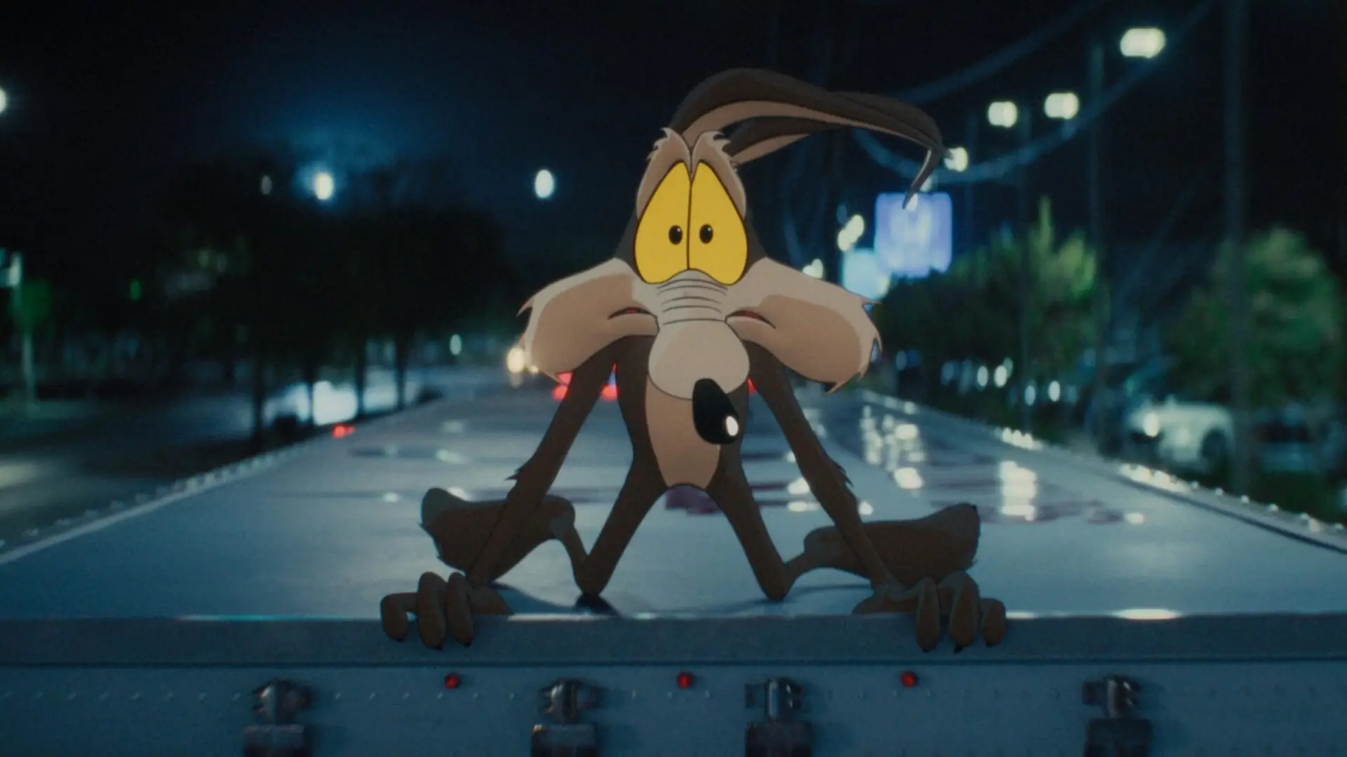 Coyote vs. Acme Review