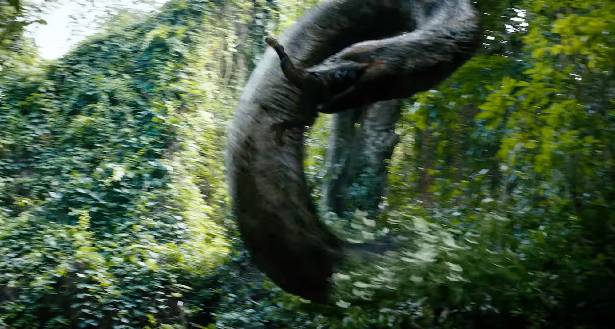 Beware Boiúna Review: The Giant Snake Is Terrifying, The Movie Isn't 5 Beware Boiúna Review